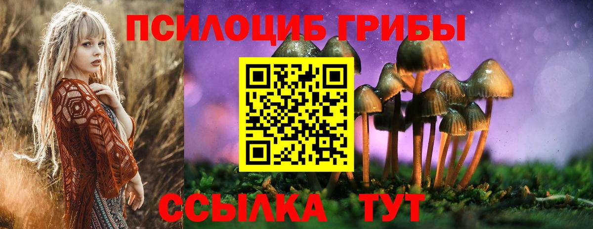 Псилоцибиновые грибы мицелий Советск
